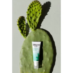 Weleda Ooggel Vijgencactus Hydraterend 6 Weleda Ooggel Vijgencactus Hydraterend -Verzorgingsproducten 1011832 3