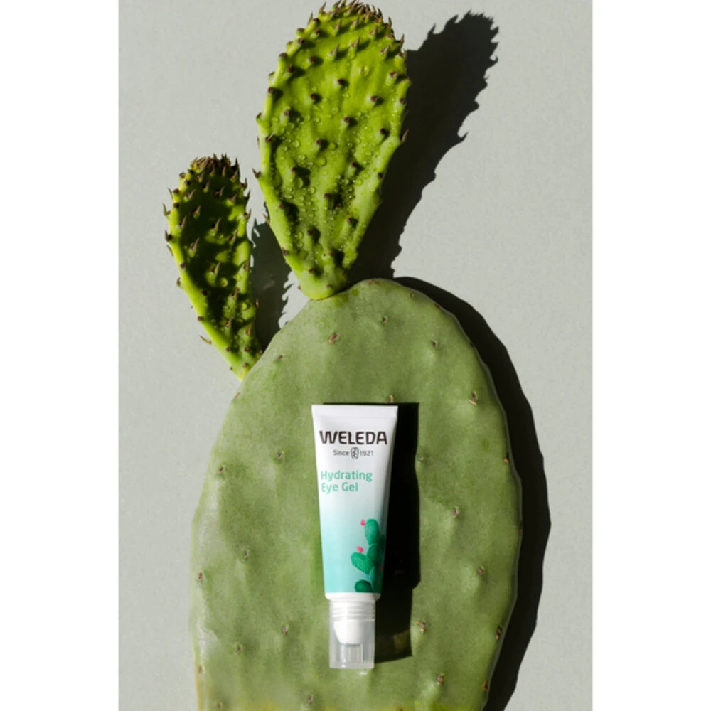 Weleda Ooggel Vijgencactus Hydraterend 3 Weleda Ooggel Vijgencactus Hydraterend - Afbeelding 3