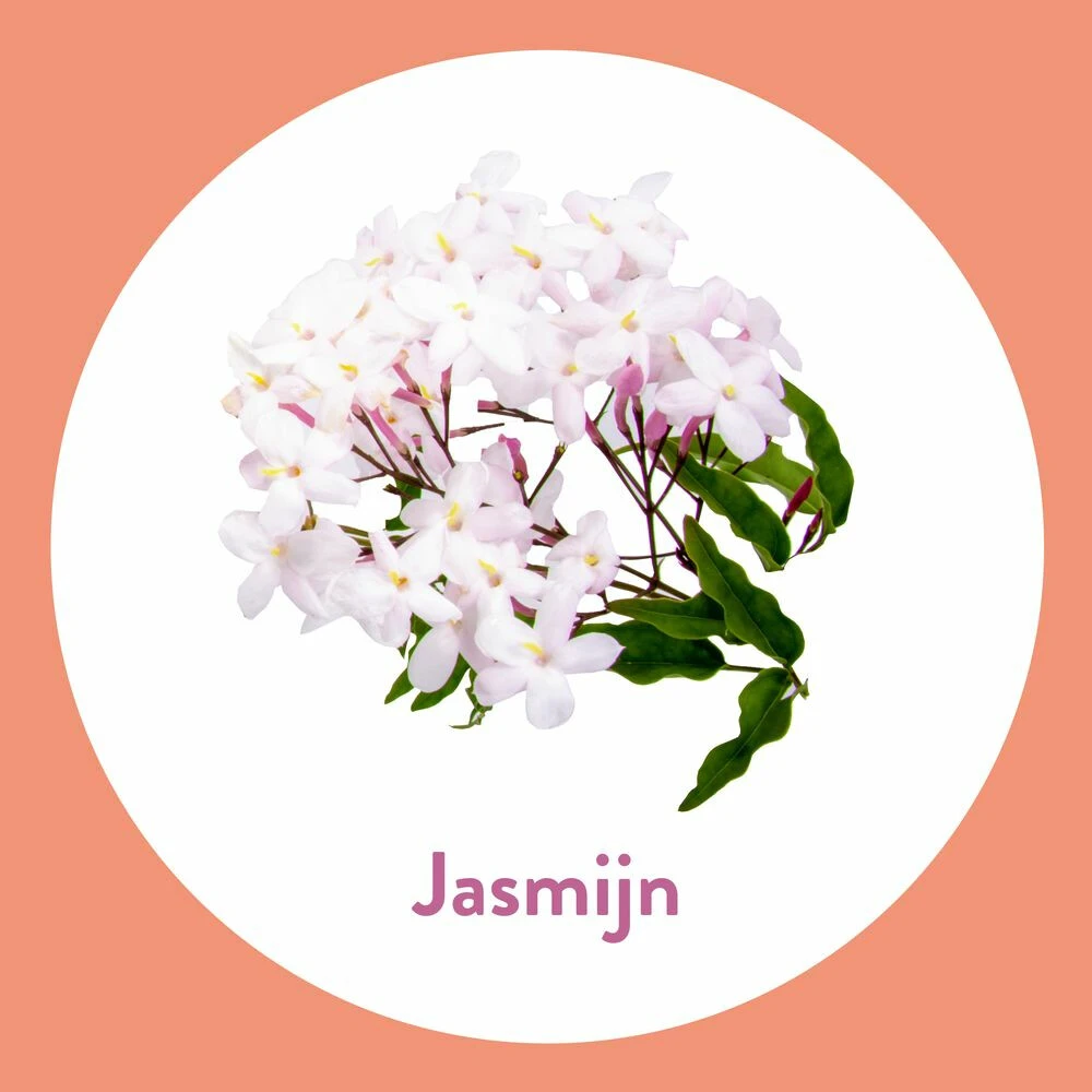 6x Dettol Handzeep Antibacterieel Jasmijn 3 6x Dettol Handzeep Antibacterieel Jasmijn - Afbeelding 3