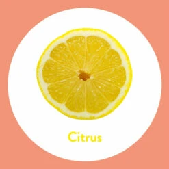 6x Dettol Handzeep Antibacterieel Navulling Citrus -Verzorgingsproducten 1014569 4