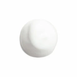 Shiseido Complete Cleansing Microfoam -Verzorgingsproducten 1072524 3
