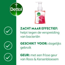 6x Dettol Foam Handzeep Rozen & Kers -Verzorgingsproducten 1073931 4
