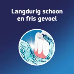 6x Fixodent Reinigingstabletten Complete Care -Verzorgingsproducten 998573 4